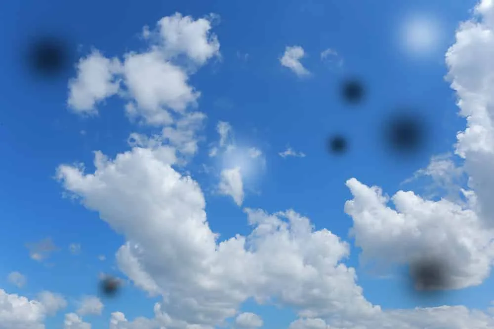 Eye floaters: those tiny black dots on white walls