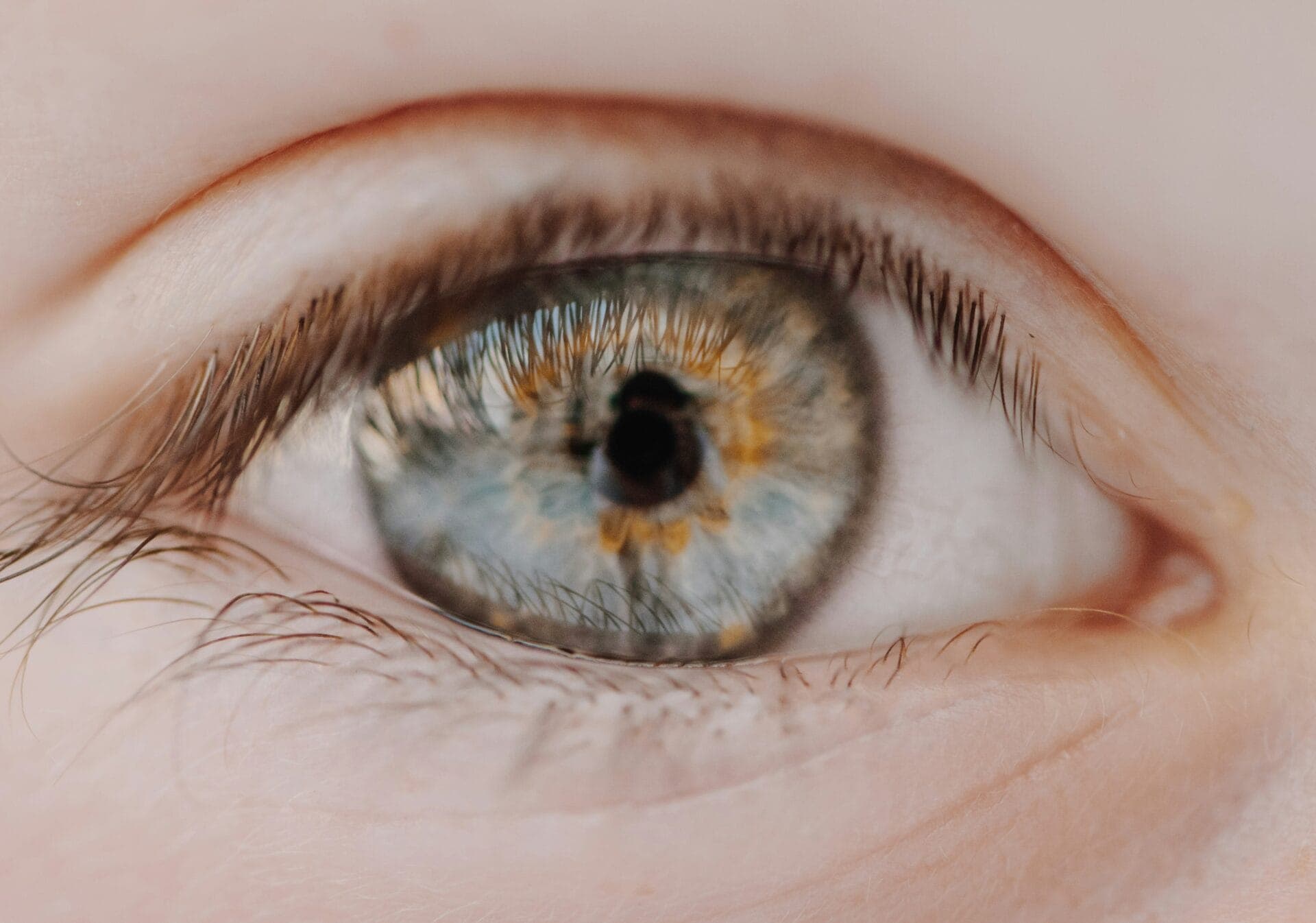 Screen Time and Your Eyes: What Science Really Says
